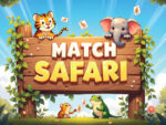 Safari Maçı